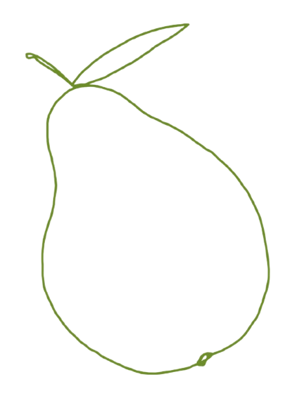 Pear illustration